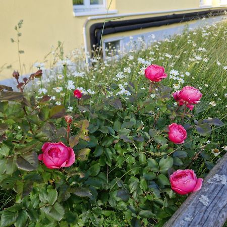 Paeitara Hof Villa Marianske Lazne Luaran gambar